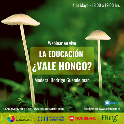 LA EDUCACIÓN ¿VALE HONGO_