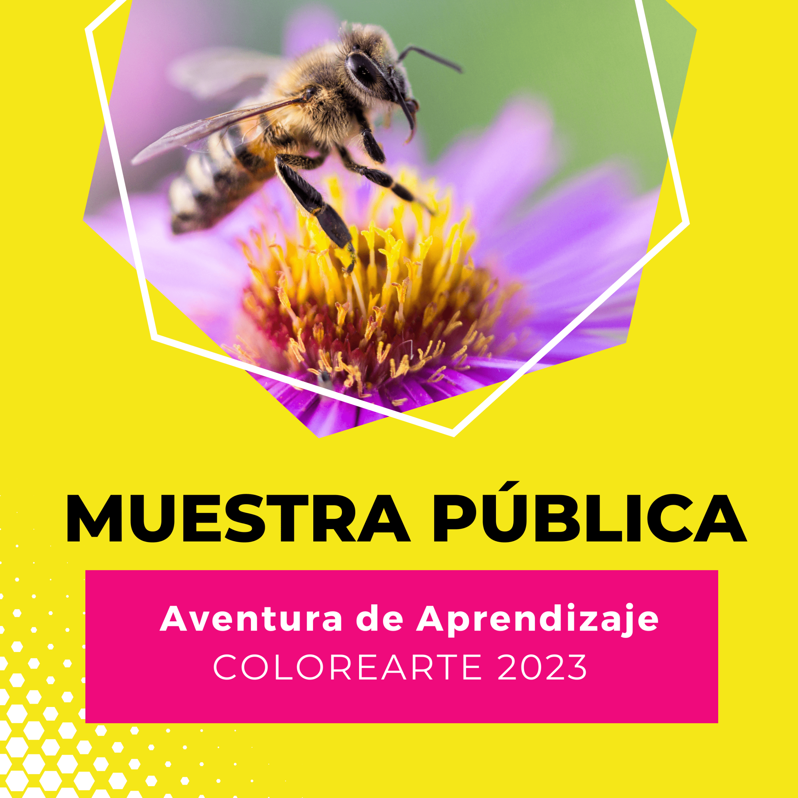 noviembre-termina-con-la-muestra-publica-del-programa-aventura-de-aprendizaje-2023-abejas-y-polinizadores-naturales-%f0%9f%8c%b8%f0%9f%90%9d